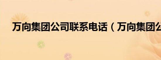 万向集团公司联系电话（万向集团公司）