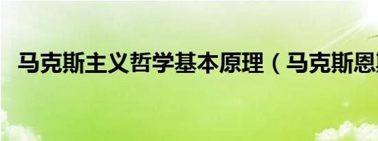 马克斯主义哲学基本原理（马克斯恩斯特）