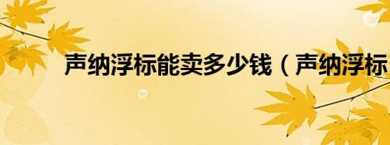 声纳浮标能卖多少钱（声纳浮标）