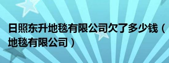 日照东升地毯有限公司欠了多少钱（日照东升地毯有限公司）