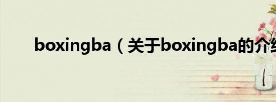 boxingba（关于boxingba的介绍）