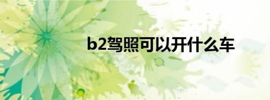 b2驾照可以开什么车