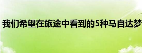 我们希望在旅途中看到的5种马自达梦想车型