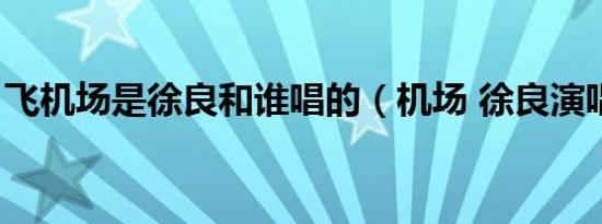 飞机场是徐良和谁唱的（机场 徐良演唱歌曲）