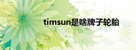 timsun是啥牌子轮胎