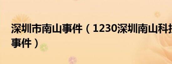 深圳市南山事件（1230深圳南山科技园砍人事件）