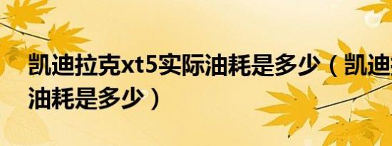 凯迪拉克xt5实际油耗是多少（凯迪拉克xt5油耗是多少）