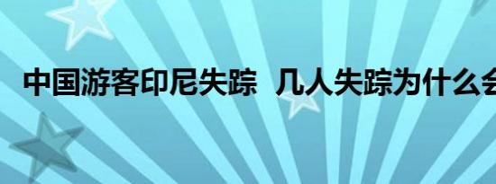 中国游客印尼失踪  几人失踪为什么会失踪