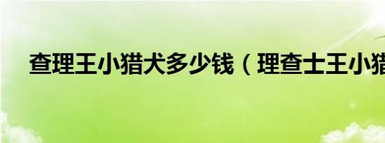 查理王小猎犬多少钱（理查士王小猎犬）