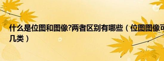 什么是位图和图像?两者区别有哪些（位图图像可以分为哪几类）