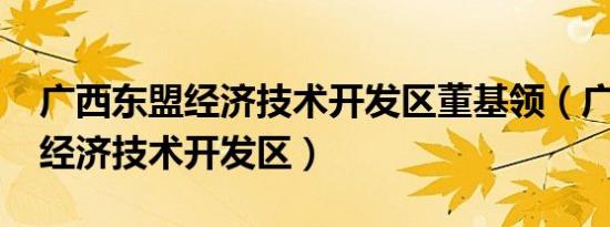 广西东盟经济技术开发区董基领（广西-东盟经济技术开发区）