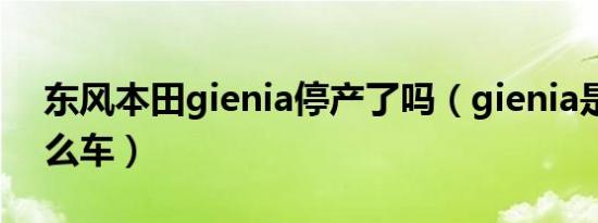 东风本田gienia停产了吗（gienia是本田什么车）