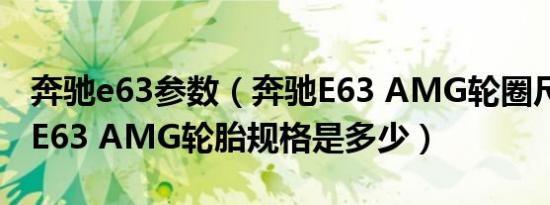 奔驰e63参数（奔驰E63 AMG轮圈尺寸 奔驰E63 AMG轮胎规格是多少）