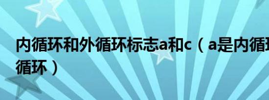 内循环和外循环标志a和c（a是内循环还是外循环）