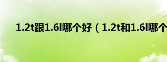 1.2t跟1.6l哪个好（1.2t和1.6l哪个好）