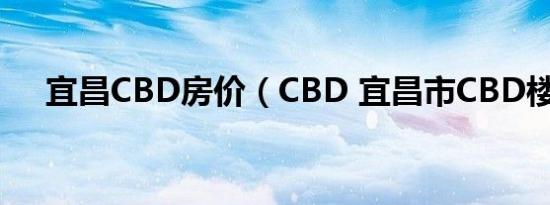 宜昌CBD房价（CBD 宜昌市CBD楼盘）