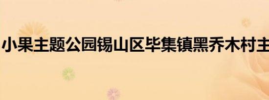 小果主题公园锡山区毕集镇黑乔木村主题公园