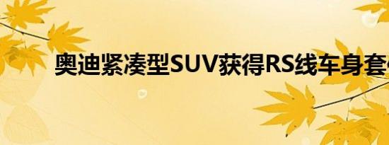 奥迪紧凑型SUV获得RS线车身套件