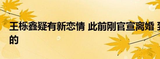 王栎鑫疑有新恋情 此前刚官宣离婚 到底怎样的