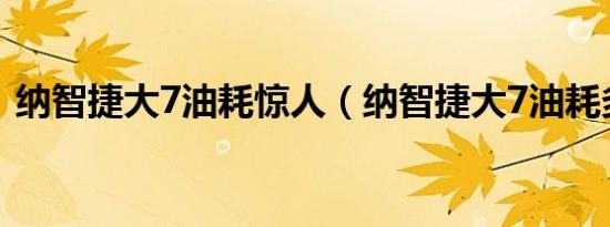 纳智捷大7油耗惊人（纳智捷大7油耗多少?）