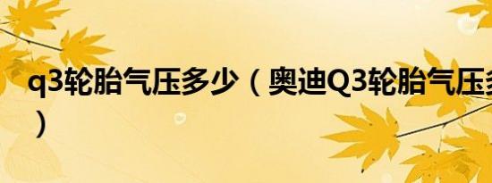 q3轮胎气压多少（奥迪Q3轮胎气压多少合适）