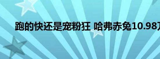 跑的快还是宠粉狂 哈弗赤兔10.98万起