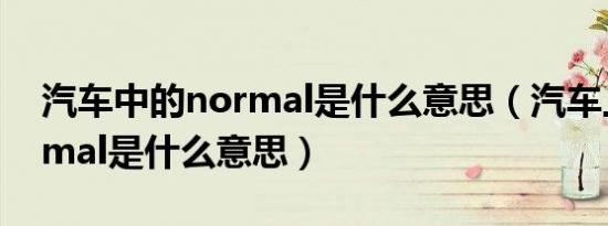 汽车中的normal是什么意思（汽车上的normal是什么意思）