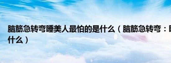 脑筋急转弯睡美人最怕的是什么（脑筋急转弯：睡美人最怕什么）