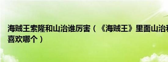 海贼王索隆和山治谁厉害（《海贼王》里面山治和索隆你更喜欢哪个）