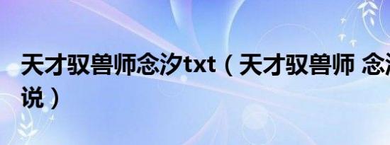 天才驭兽师念汐txt（天才驭兽师 念汐所著小说）