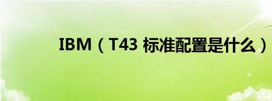 IBM（T43 标准配置是什么）