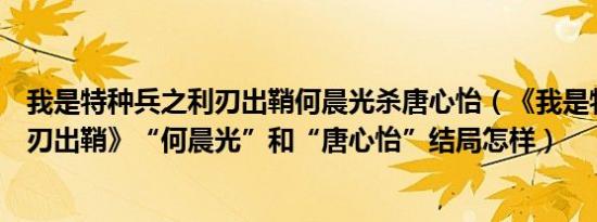 我是特种兵之利刃出鞘何晨光杀唐心怡（《我是特种兵之利刃出鞘》“何晨光”和“唐心怡”结局怎样）