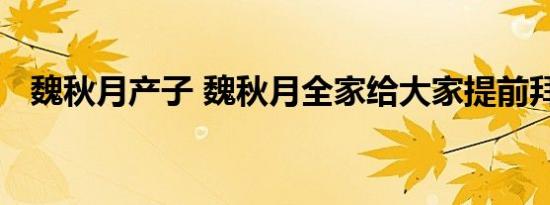 魏秋月产子 魏秋月全家给大家提前拜早年