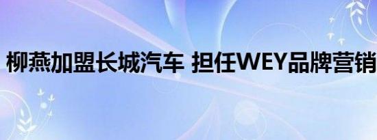 柳燕加盟长城汽车 担任WEY品牌营销总经理