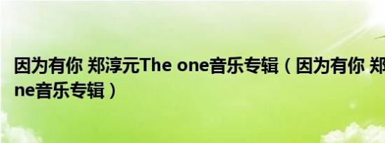 因为有你 郑淳元The one音乐专辑（因为有你 郑淳元The one音乐专辑）