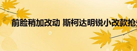 前脸稍加改动 斯柯达明锐小改款抢先看