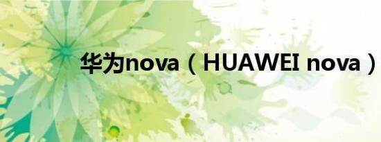 华为nova（HUAWEI nova）