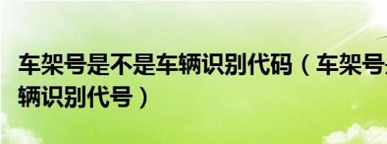 车架号是不是车辆识别代码（车架号是不是车辆识别代号）