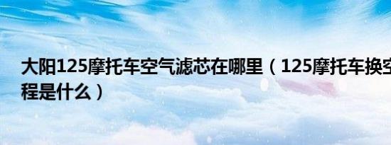 大阳125摩托车空气滤芯在哪里（125摩托车换空气滤芯教程是什么）