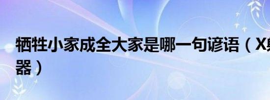 牺牲小家成全大家是哪一句谚语（X射线检测器）