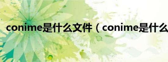 conime是什么文件（conime是什么文件）