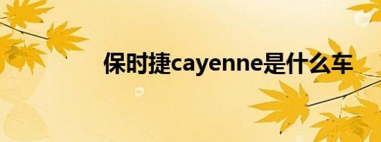 保时捷cayenne是什么车