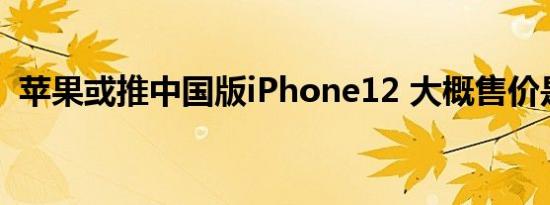 苹果或推中国版iPhone12 大概售价是多少