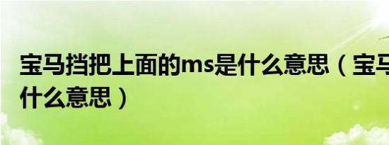 宝马挡把上面的ms是什么意思（宝马ms挡是什么意思）