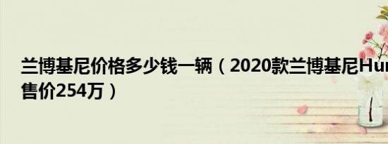 兰博基尼价格多少钱一辆（2020款兰博基尼Huracan最低售价254万）