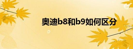 奥迪b8和b9如何区分