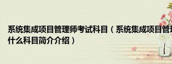 系统集成项目管理师考试科目（系统集成项目管理工程师考什么科目简介介绍）