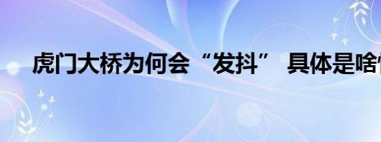 虎门大桥为何会“发抖” 具体是啥情况