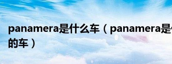 panamera是什么车（panamera是什么牌子的车）