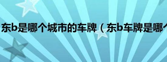 东b是哪个城市的车牌（东b车牌是哪个省份）